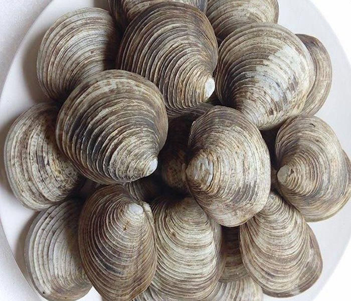 Hải sản Hạ Long